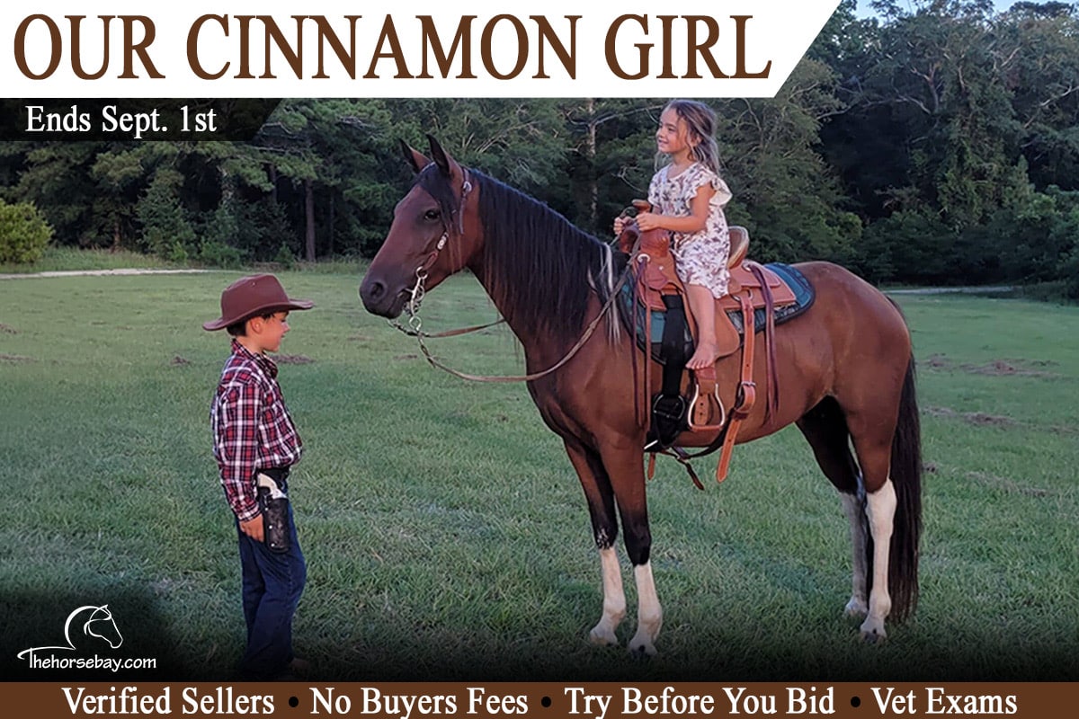 Our Cinnamon Girl