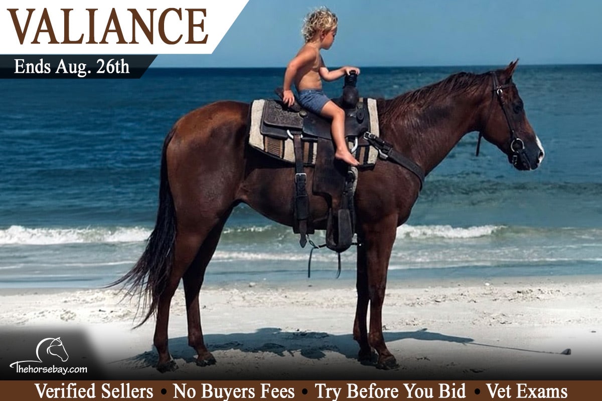 Valiance