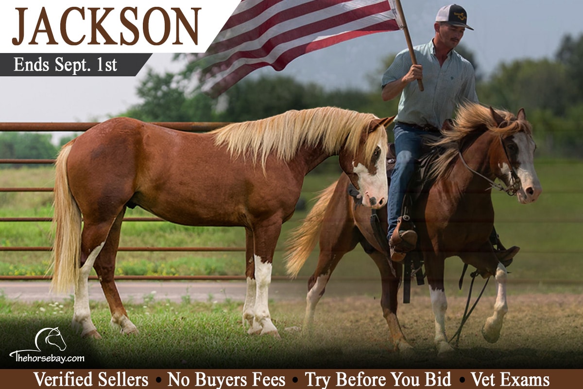 Jackson