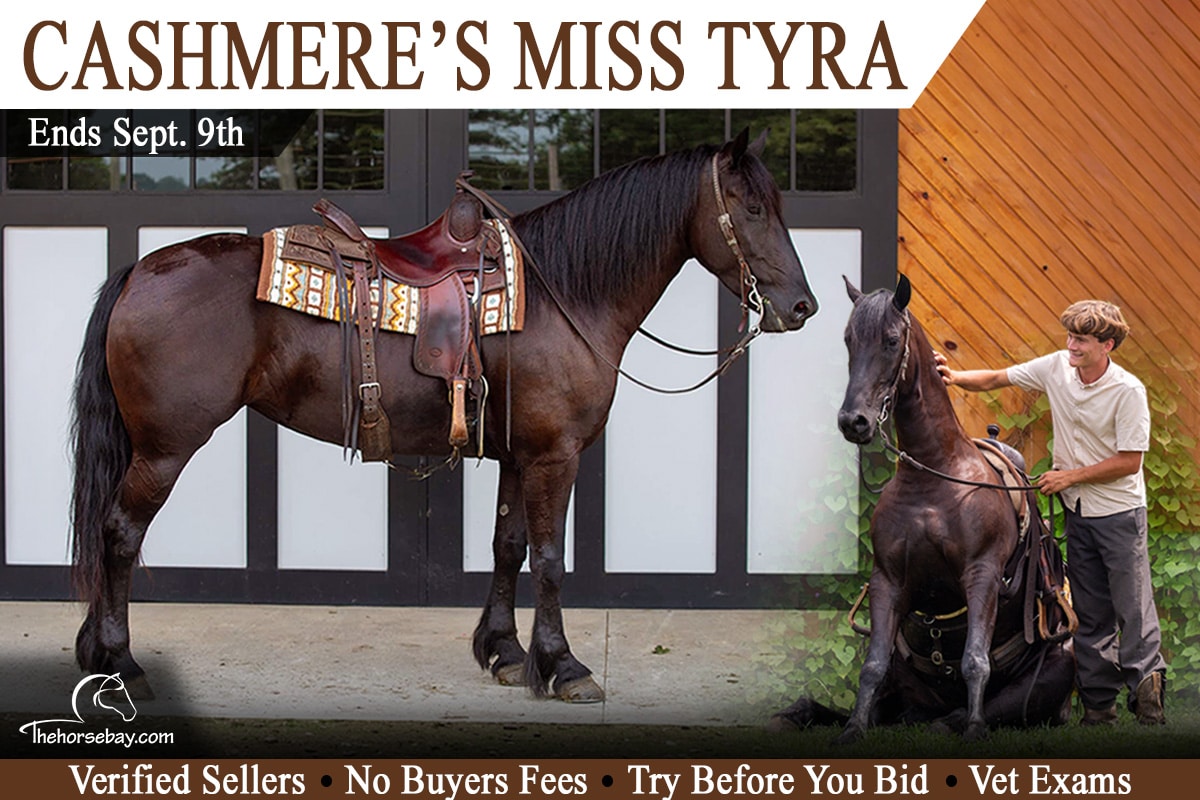 Cashmere's Miss Tyra