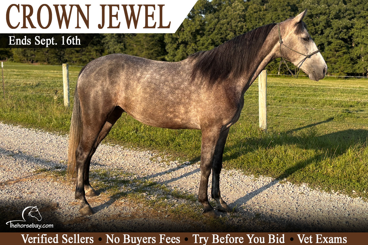 Crown Jewel