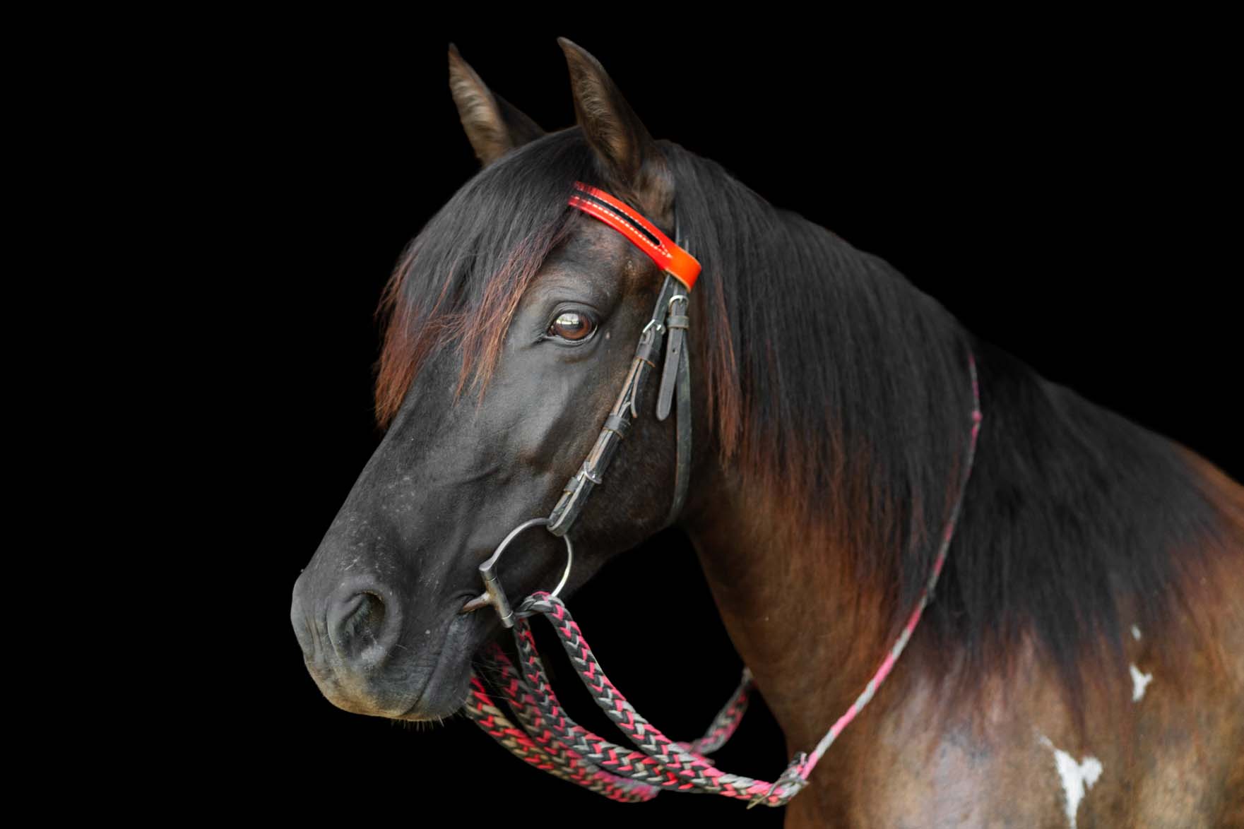 Sweet Cheyenne