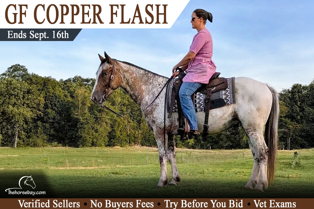 GF Copper Flash