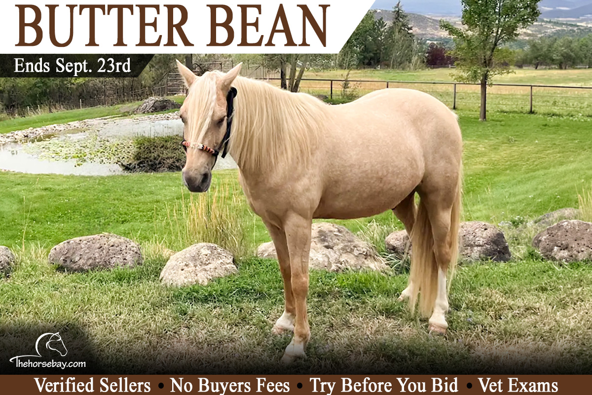 Butter Bean