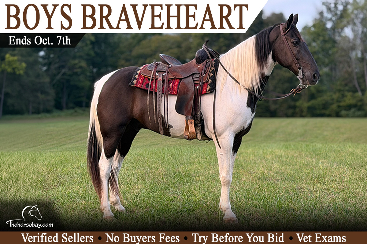 Boys BraveHeart "Elvis"