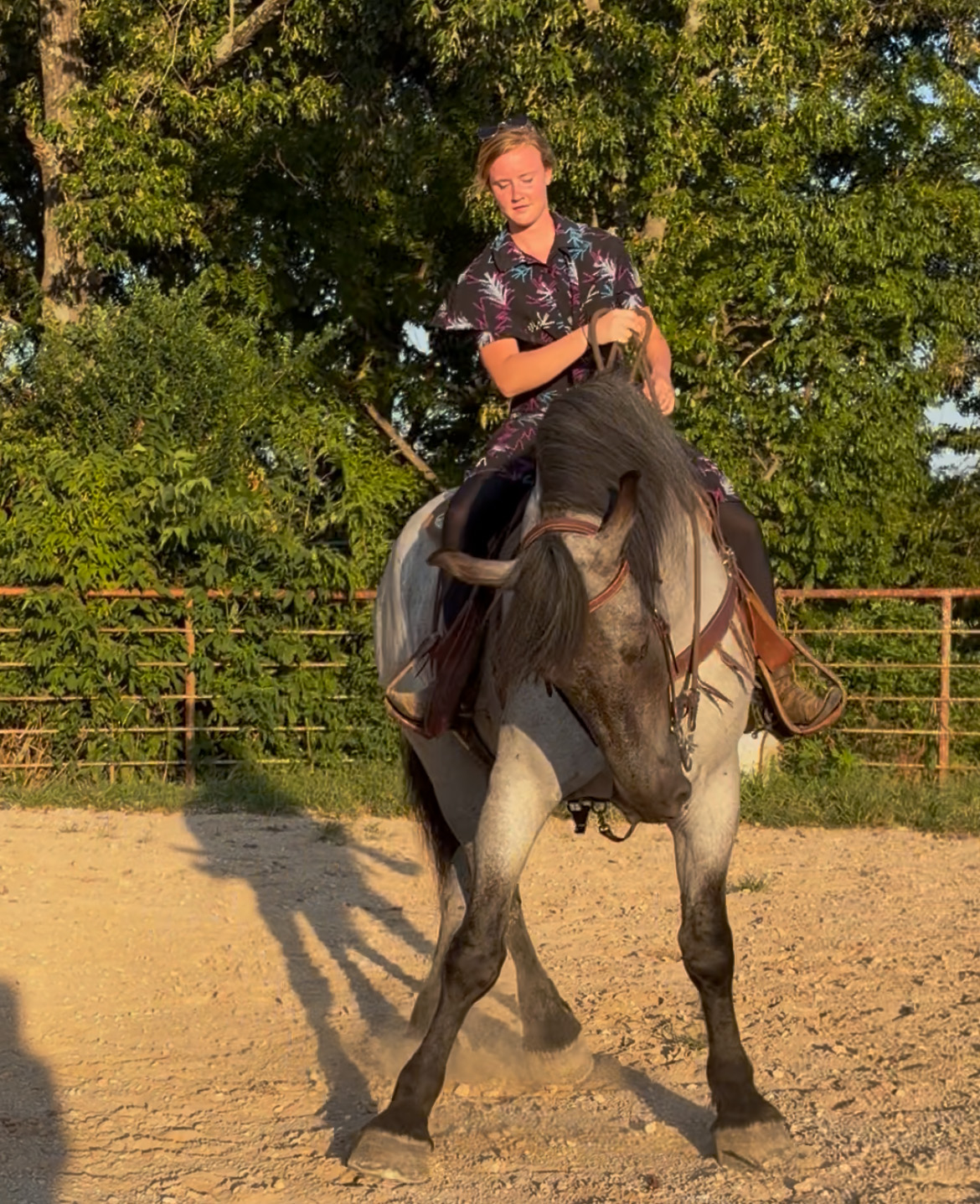 Maximus