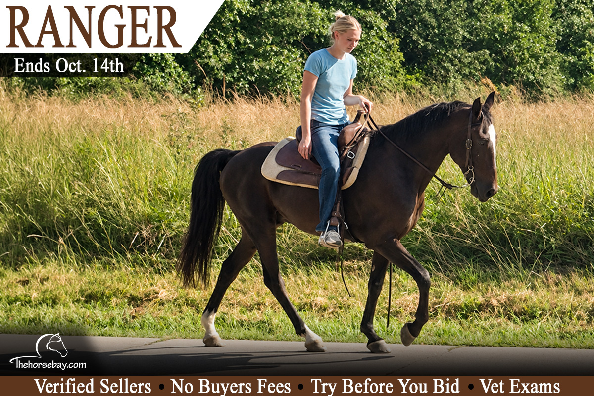 Ranger