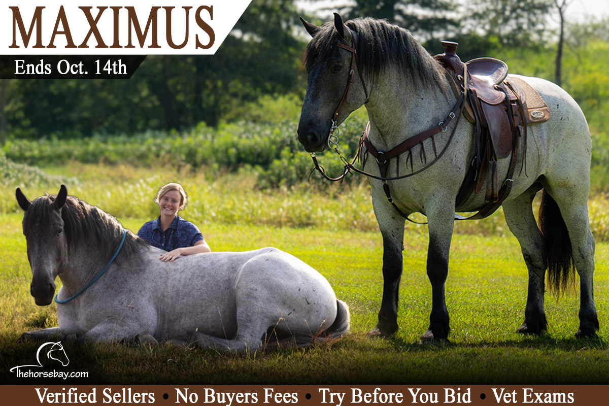 Maximus