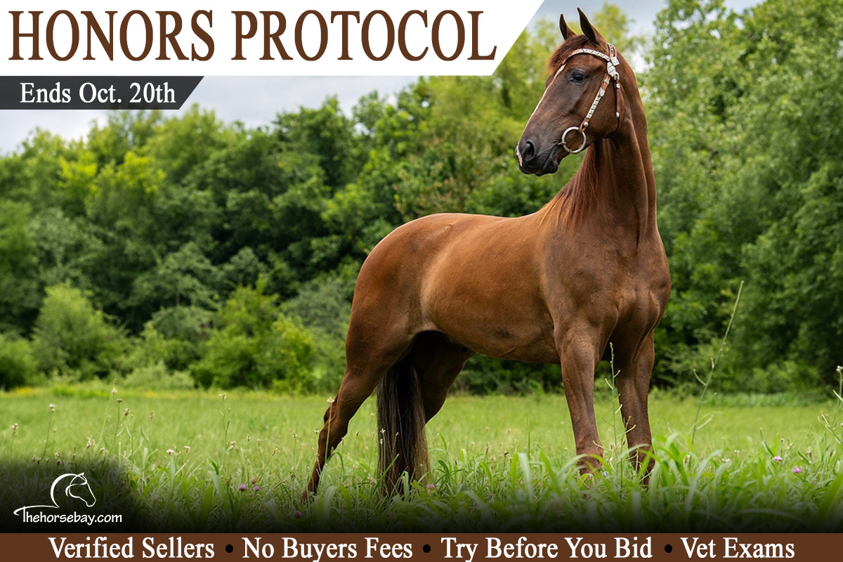 Honors Protocol
