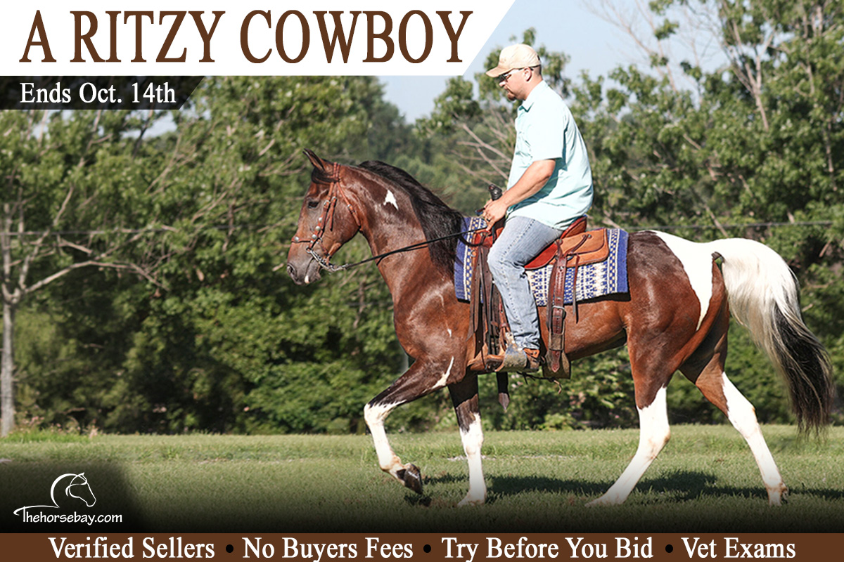 A Ritzy Cowboy
