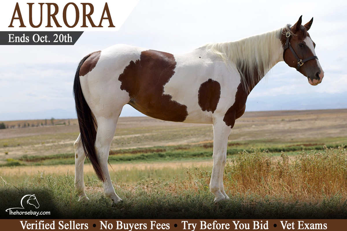 Aurora