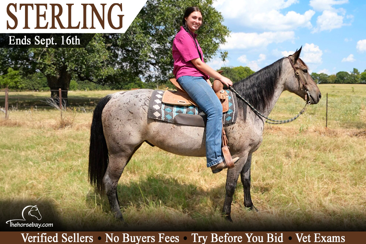 Sterling