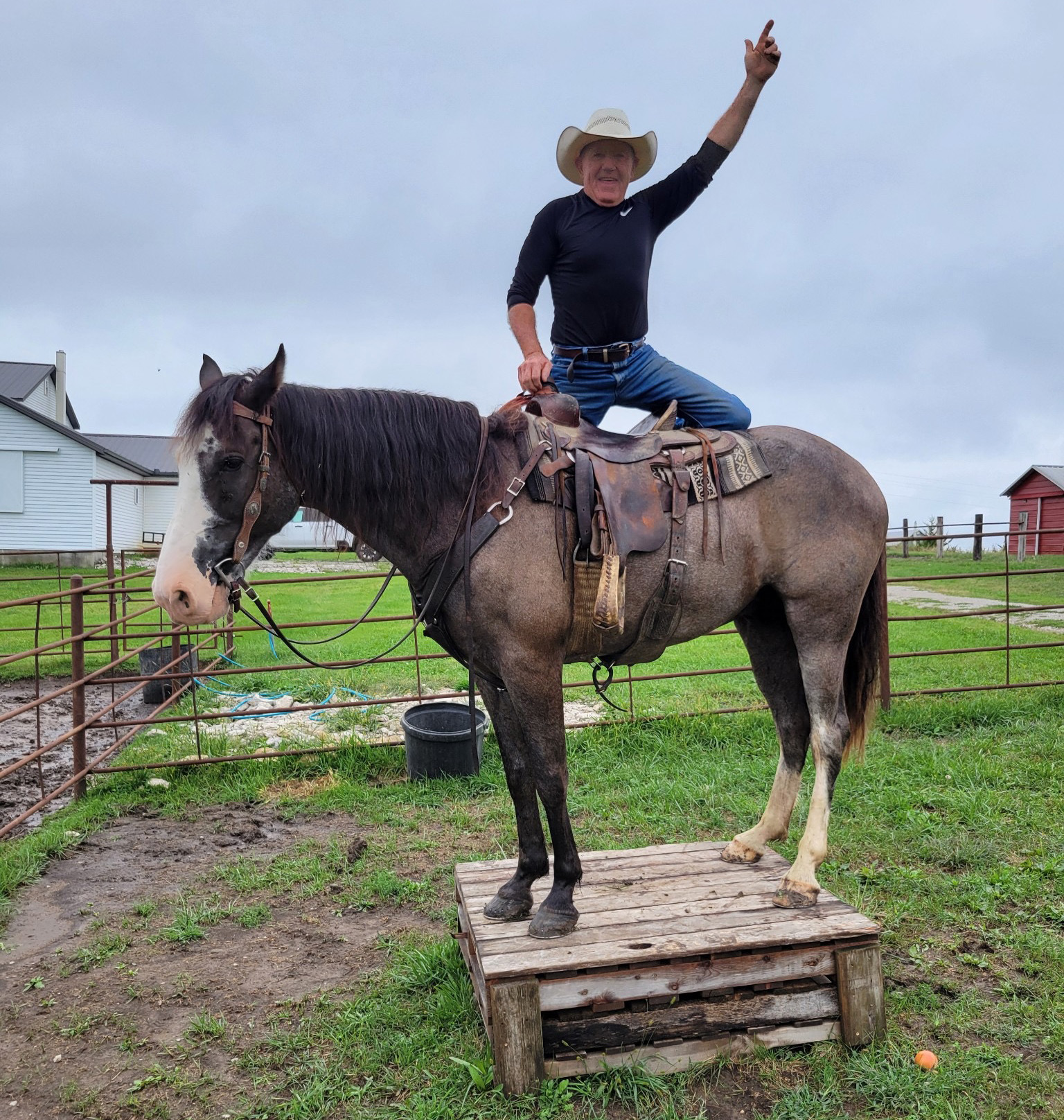 Mr. Ed