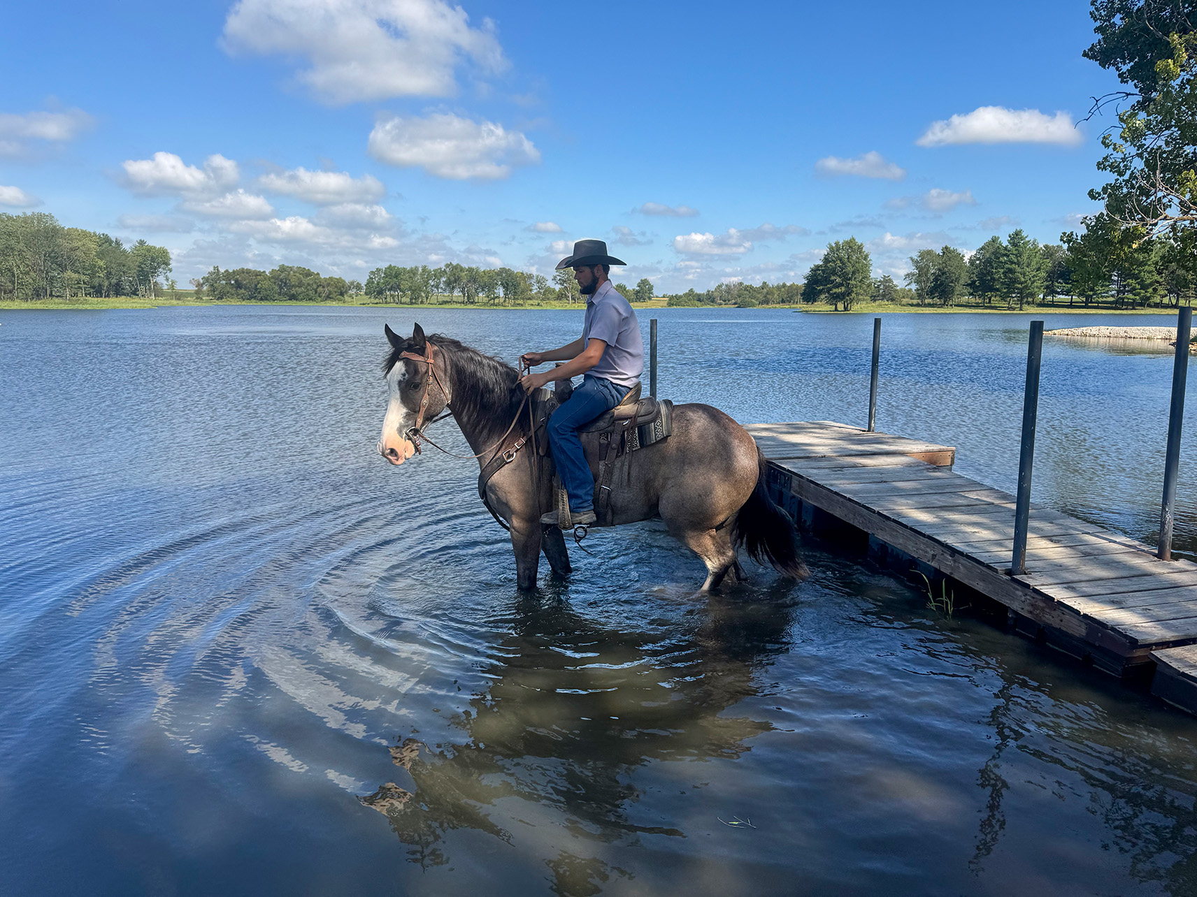 Mr. Ed