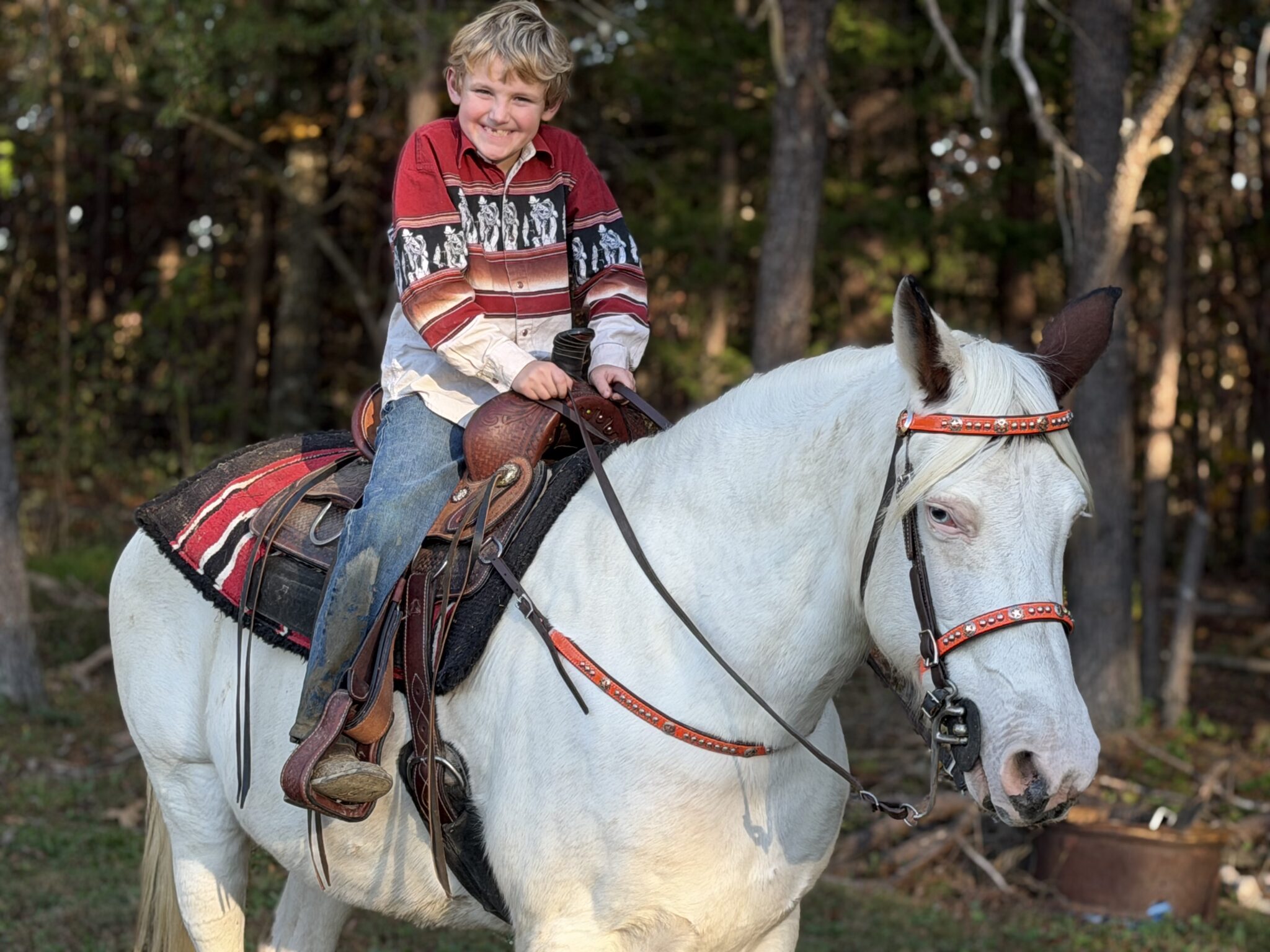 Elsa | Thehorsebay.com