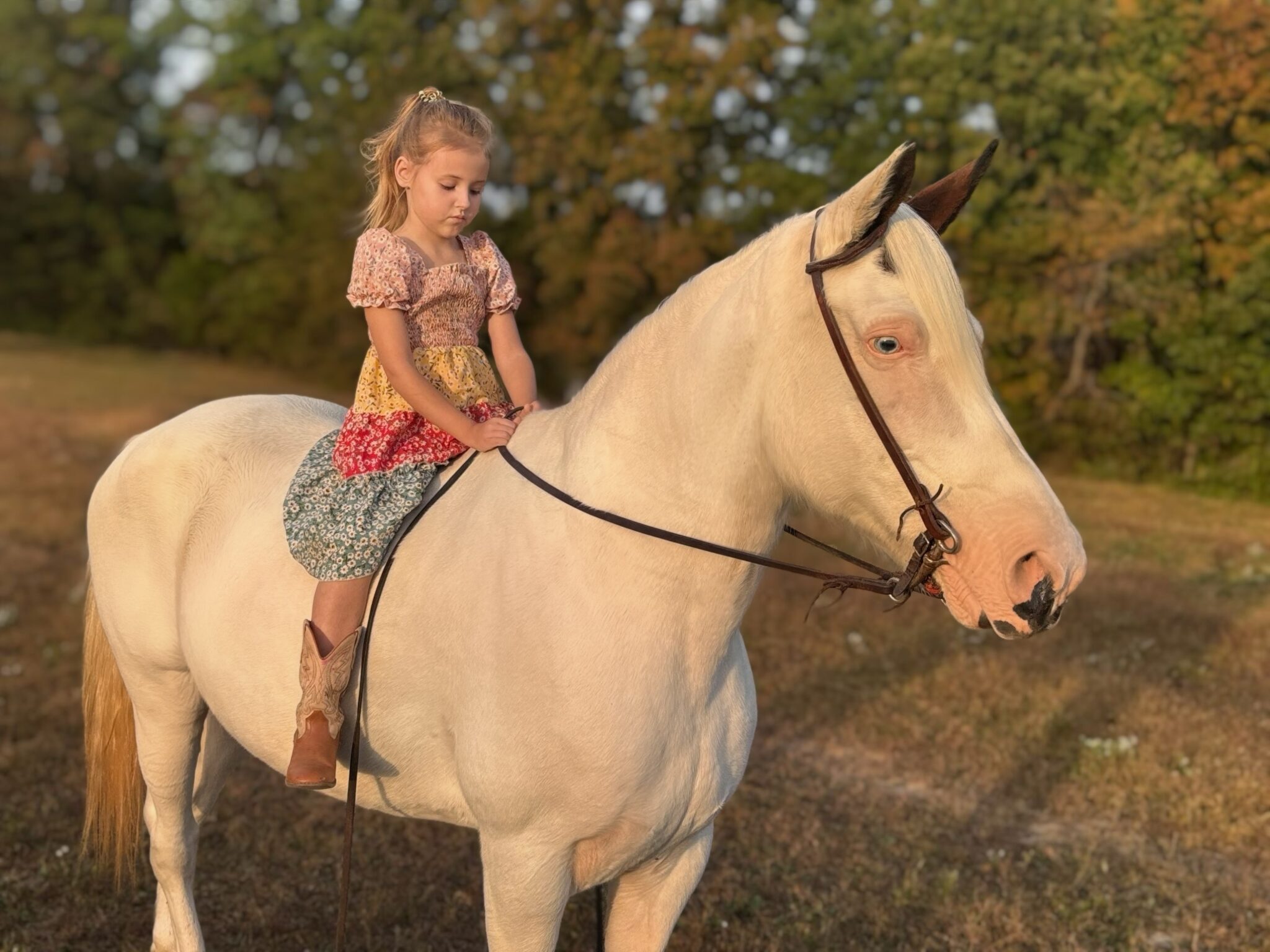Elsa | Thehorsebay.com