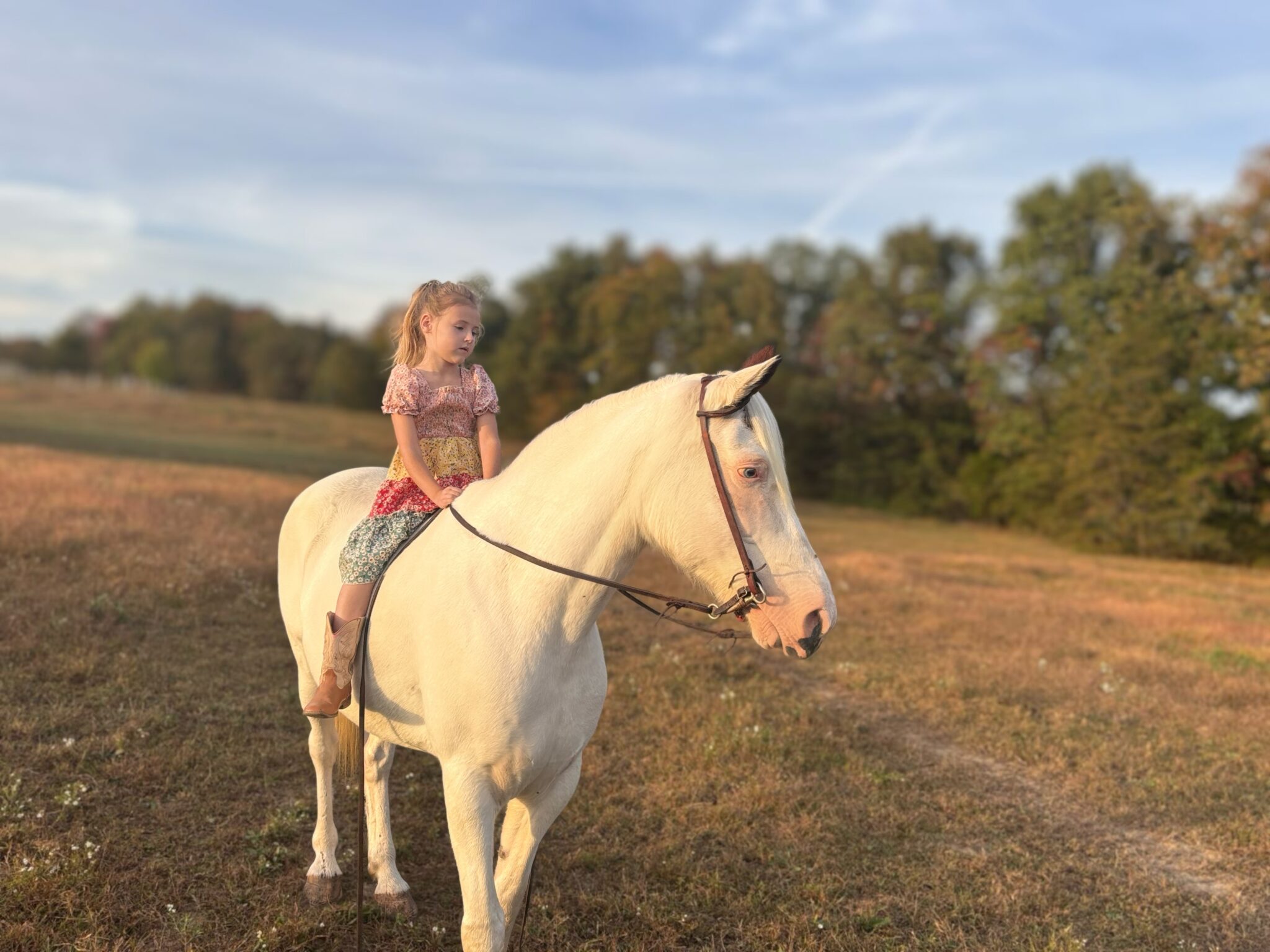 Elsa | Thehorsebay.com