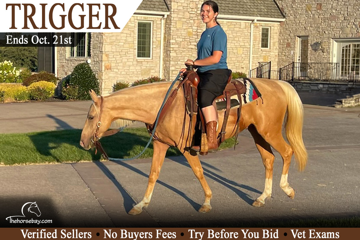 Mr. Trigger Gold D. Perfection D.