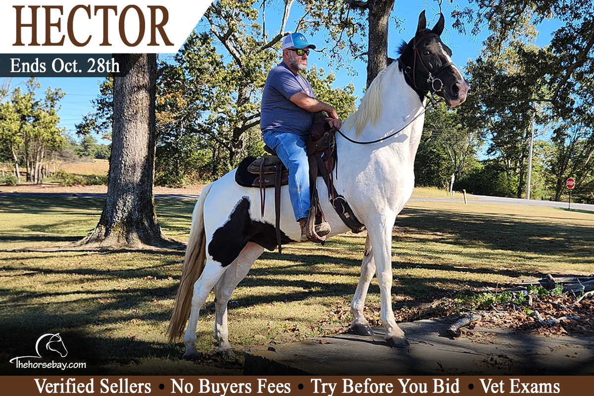 Hector BanLios "Hector"