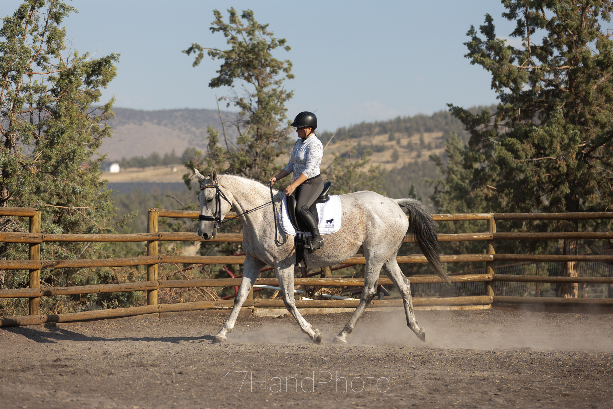 Fun Paddy "Aspen"