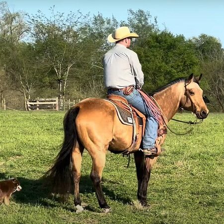 120904105_675818346396955_9125596488070131155_n