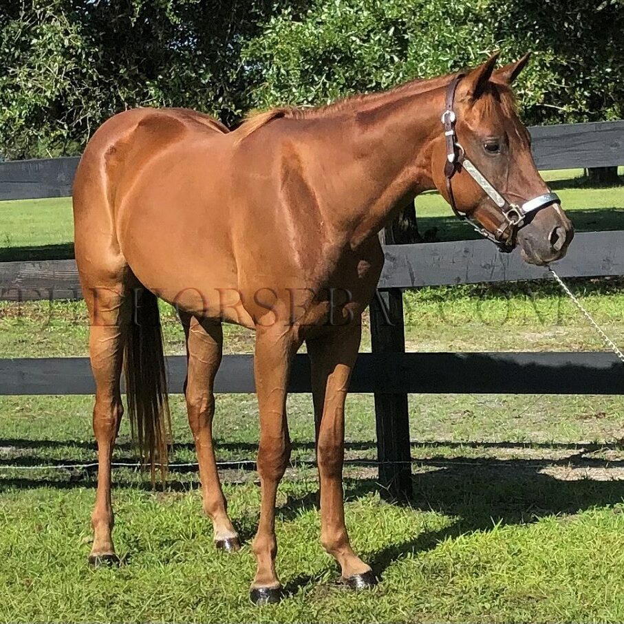 120904105_675818346396955_9125596488070131155_n