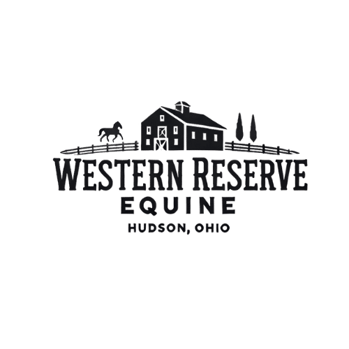 120904105_675818346396955_9125596488070131155_n