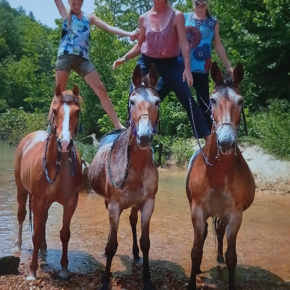 120904105_675818346396955_9125596488070131155_n