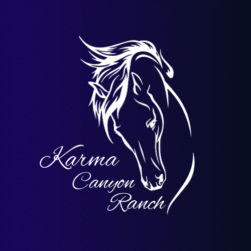 120904105_675818346396955_9125596488070131155_n