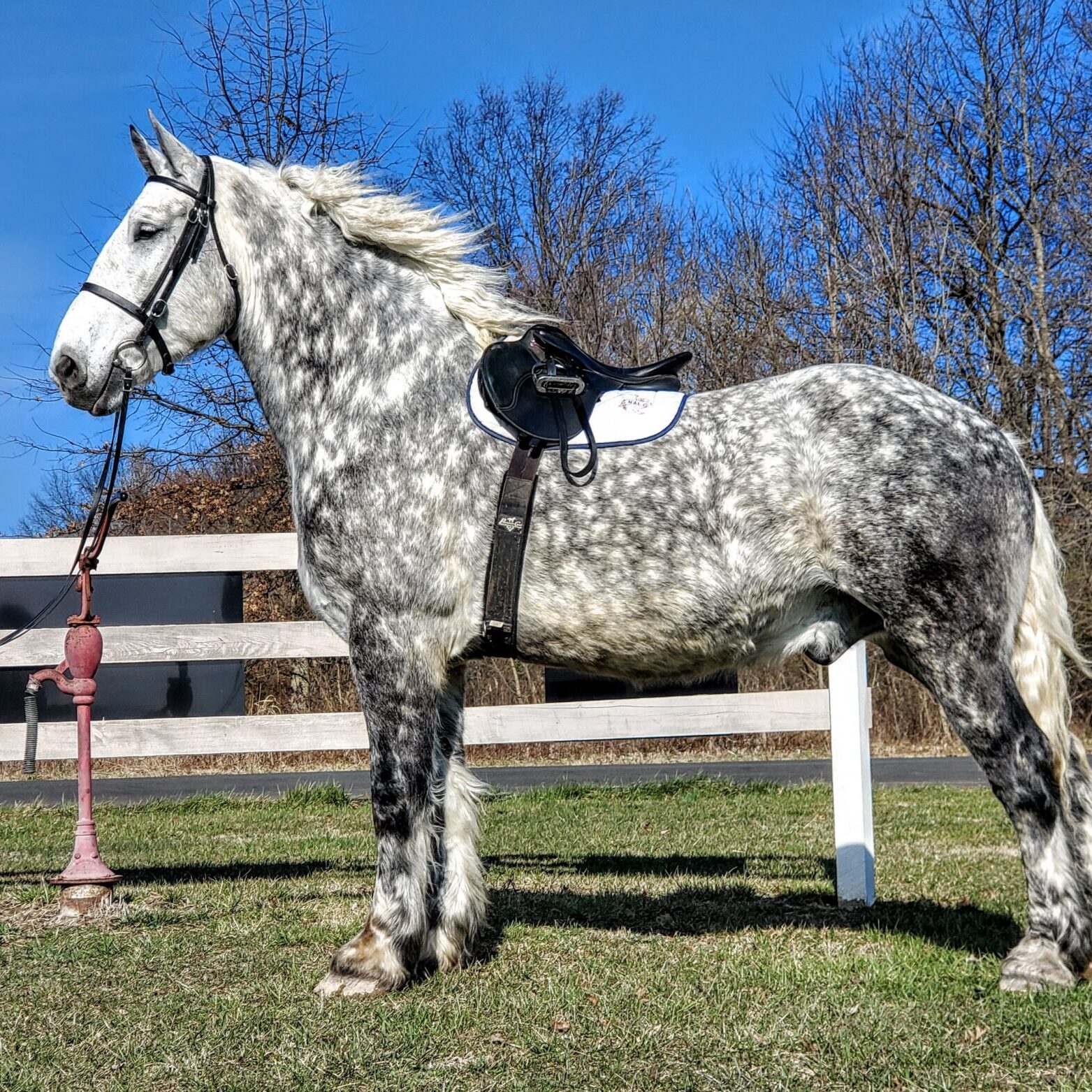 120904105_675818346396955_9125596488070131155_n