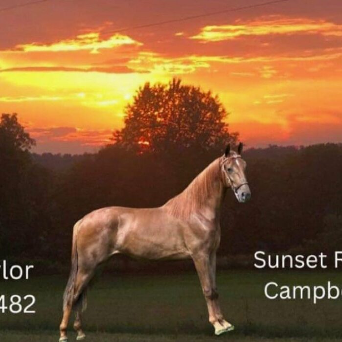 120904105_675818346396955_9125596488070131155_n