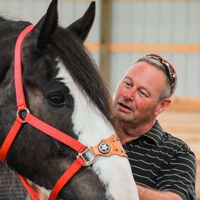 120904105_675818346396955_9125596488070131155_n